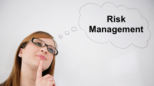 What is risk management